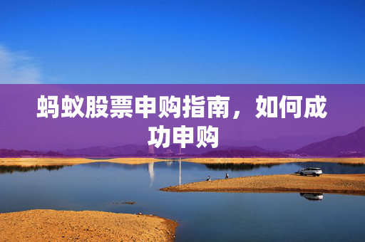 蚂蚁股票申购指南，如何成功申购