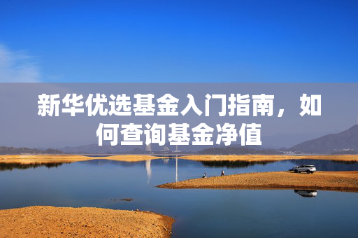 新华优选基金入门指南，如何查询基金净值