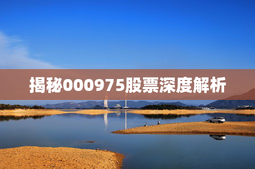 揭秘000975股票深度解析