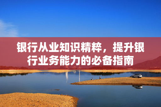 银行从业知识精粹，提升银行业务能力的必备指南
