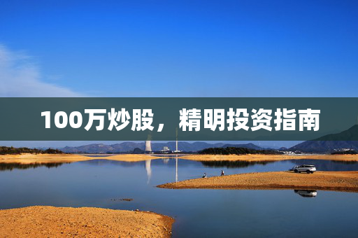 100万炒股，精明投资指南
