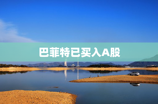 巴菲特已买入A股