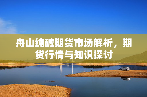 舟山纯碱期货市场解析，期货行情与知识探讨