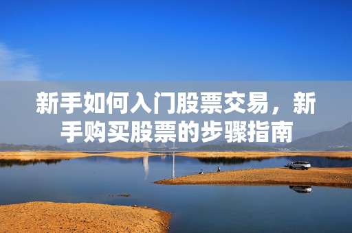 新手如何入门股票交易，新手购买股票的步骤指南