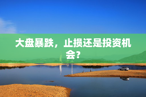 大盘暴跌，止损还是投资机会？