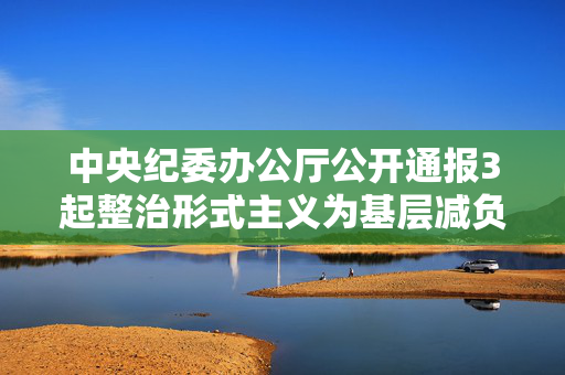 中央纪委办公厅公开通报3起整治形式主义为基层减负典型问题