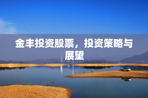 金丰投资股票，投资策略与展望