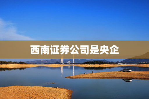 西南证券公司是央企