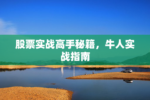 股票实战高手秘籍，牛人实战指南