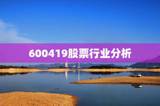 600419股票行业分析