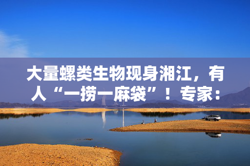 大量螺类生物现身湘江，有人“一捞一麻袋”！专家：不建议食用，捕捞野生螺可能被处罚