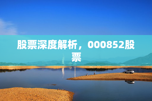 股票深度解析，000852股票