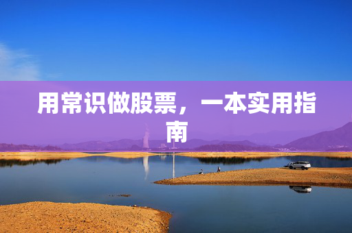 用常识做股票，一本实用指南