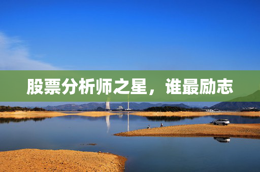 股票分析师之星，谁最励志