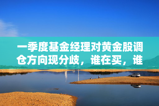 一季度基金经理对黄金股调仓方向现分歧，谁在买，谁在卖？
