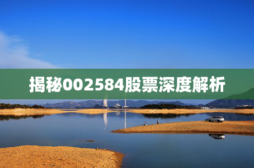 揭秘002584股票深度解析