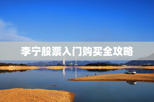 李宁股票入门购买全攻略