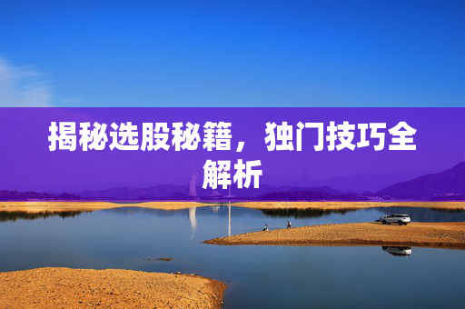 揭秘选股秘籍，独门技巧全解析