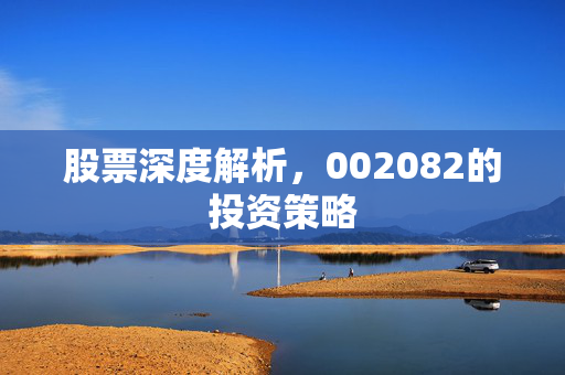 股票深度解析，002082的投资策略