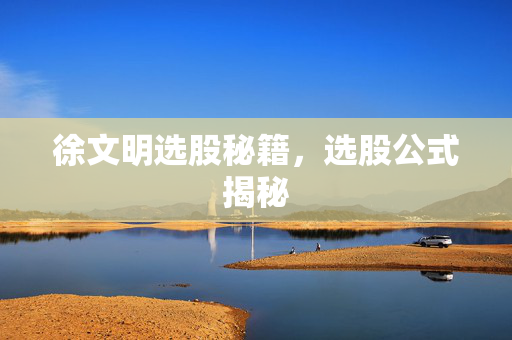 徐文明选股秘籍，选股公式揭秘