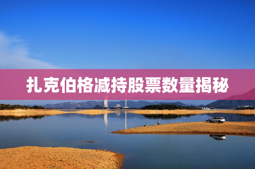 扎克伯格减持股票数量揭秘