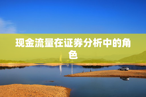 现金流量在证券分析中的角色