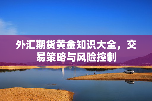 外汇期货黄金知识大全，交易策略与风险控制