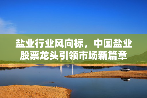 盐业行业风向标，中国盐业股票龙头引领市场新篇章