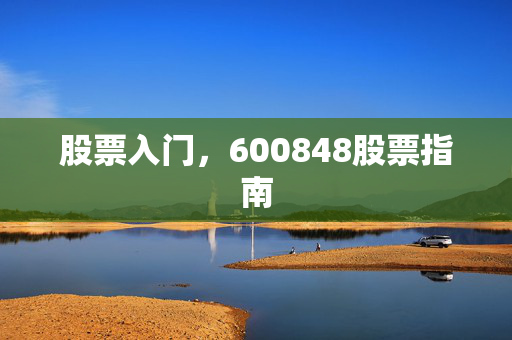 股票入门，600848股票指南