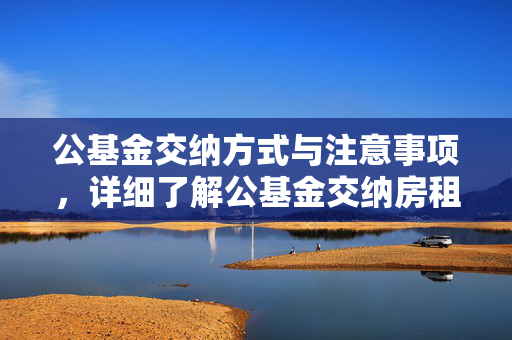 公基金交纳方式与注意事项，详细了解公基金交纳房租流程