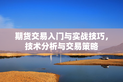 期货交易入门与实战技巧，技术分析与交易策略