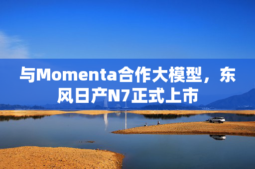 与Momenta合作大模型，东风日产N7正式上市
