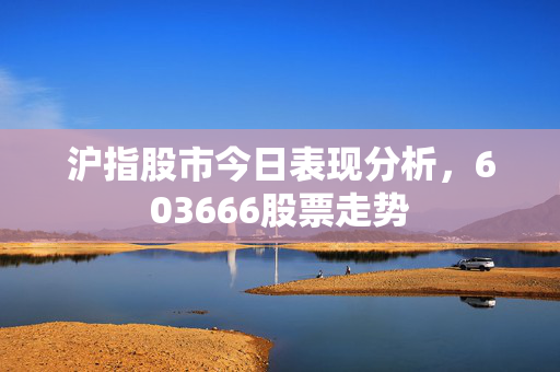 沪指股市今日表现分析，603666股票走势