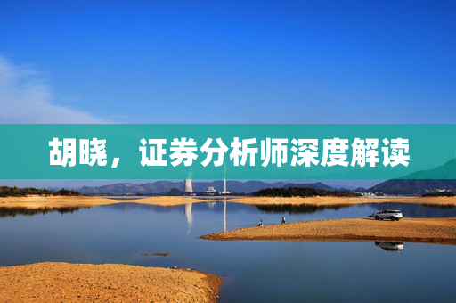 胡晓，证券分析师深度解读