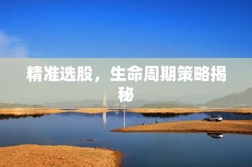 精准选股，生命周期策略揭秘