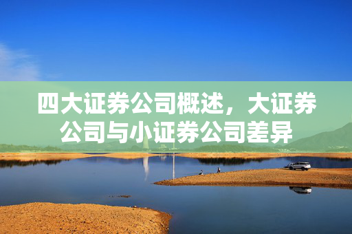 四大证券公司概述，大证券公司与小证券公司差异
