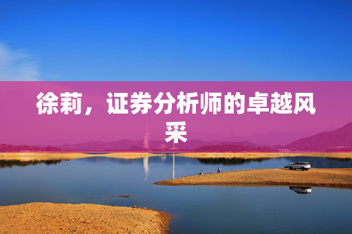 徐莉，证券分析师的卓越风采