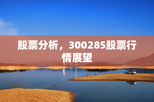 股票分析，300285股票行情展望