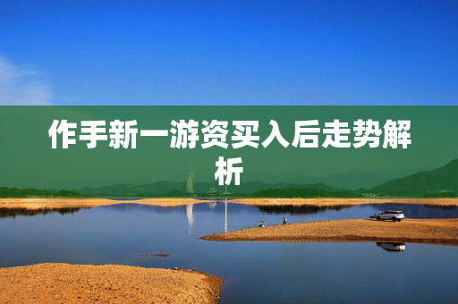 作手新一游资买入后走势解析