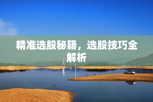 精准选股秘籍，选股技巧全解析