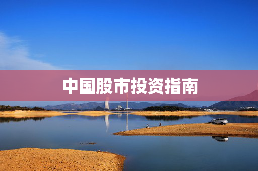 中国股市投资指南
