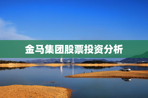 金马集团股票投资分析
