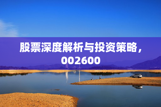 股票深度解析与投资策略，002600