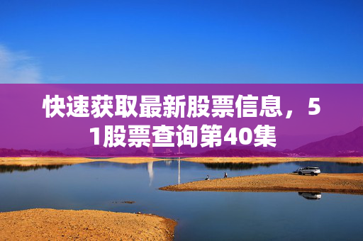 快速获取最新股票信息，51股票查询第40集