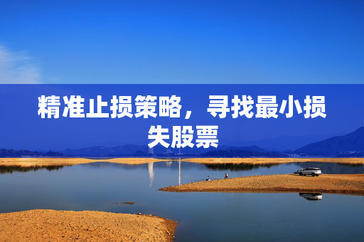 精准止损策略，寻找最小损失股票