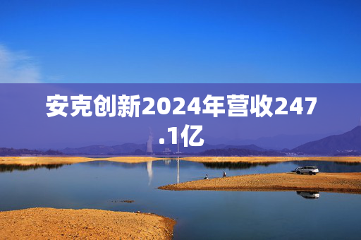 安克创新2024年营收247.1亿