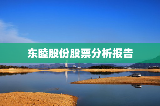 东睦股份股票分析报告
