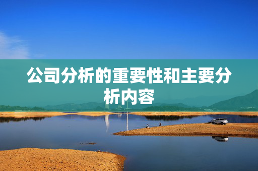 公司分析的重要性和主要分析内容