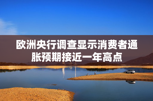 欧洲央行调查显示消费者通胀预期接近一年高点