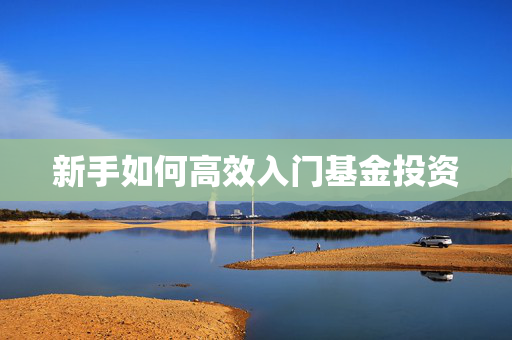 新手如何高效入门基金投资
